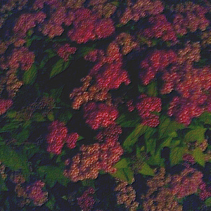 欧美性受xxxx喷水大胸
